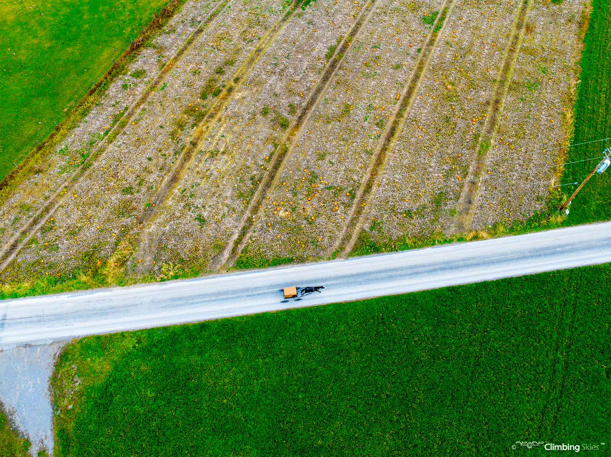 Horse & buggy traveling down a country road. Outskirts of Volant, PA. The horse & buggy still used by Amish. Common buggy color in Western PA is burnt orange & black. 
#photography #lawrencecountyPA #amish #horseandbuggy #simplelifestyle #uniqueviews #explore #climbingskies