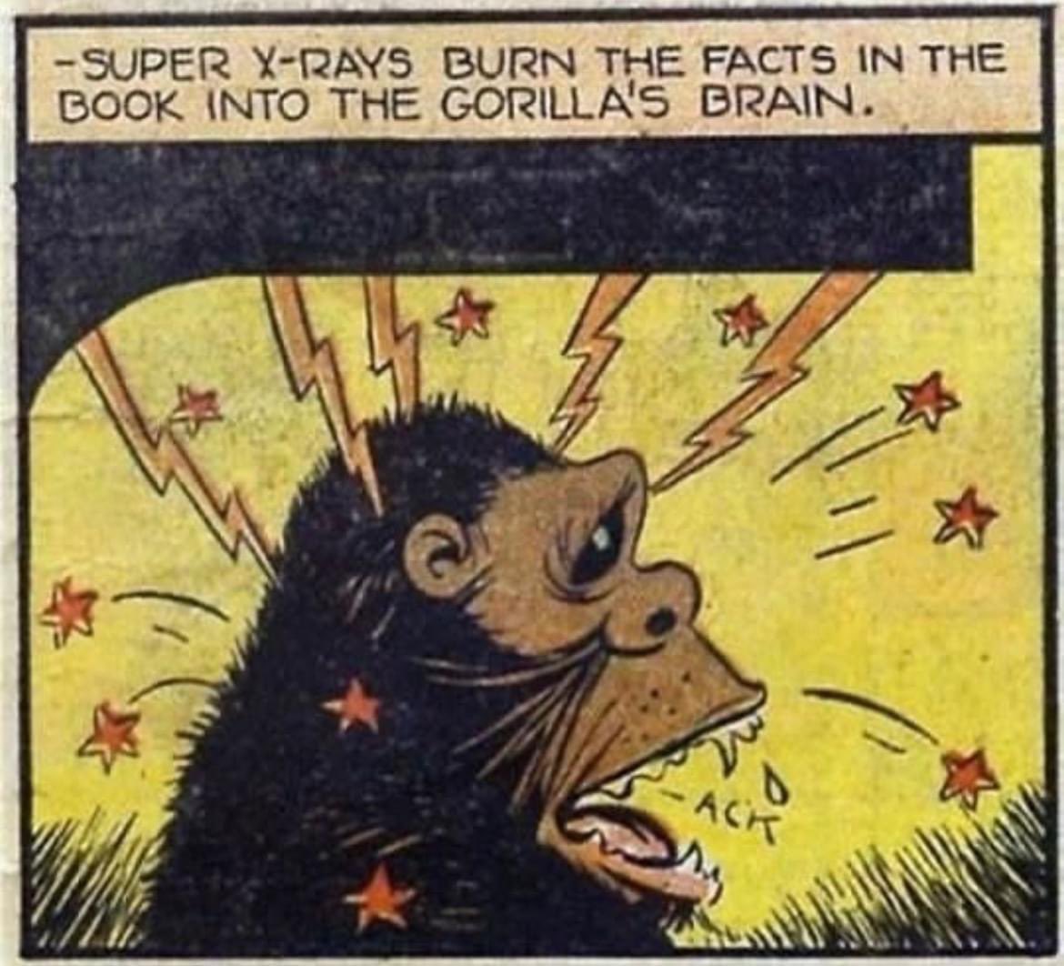 Bear CLAW (Center for Learning and Writing) tweet media