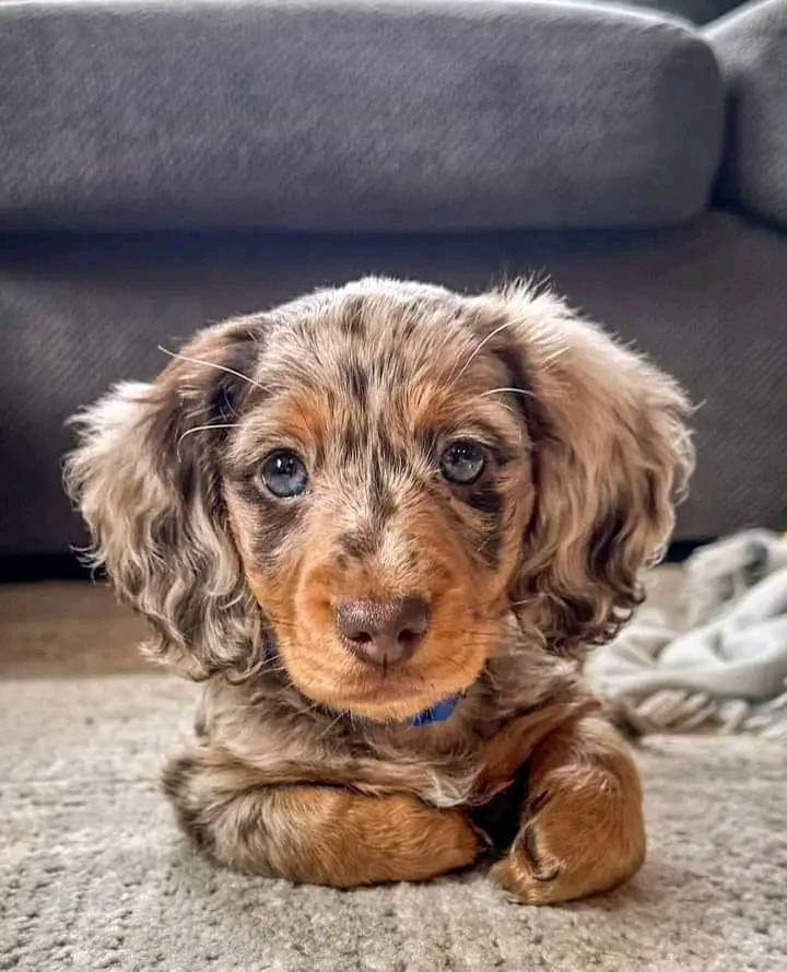 SQUISHY BUNNY 🐰 💦 tweet media