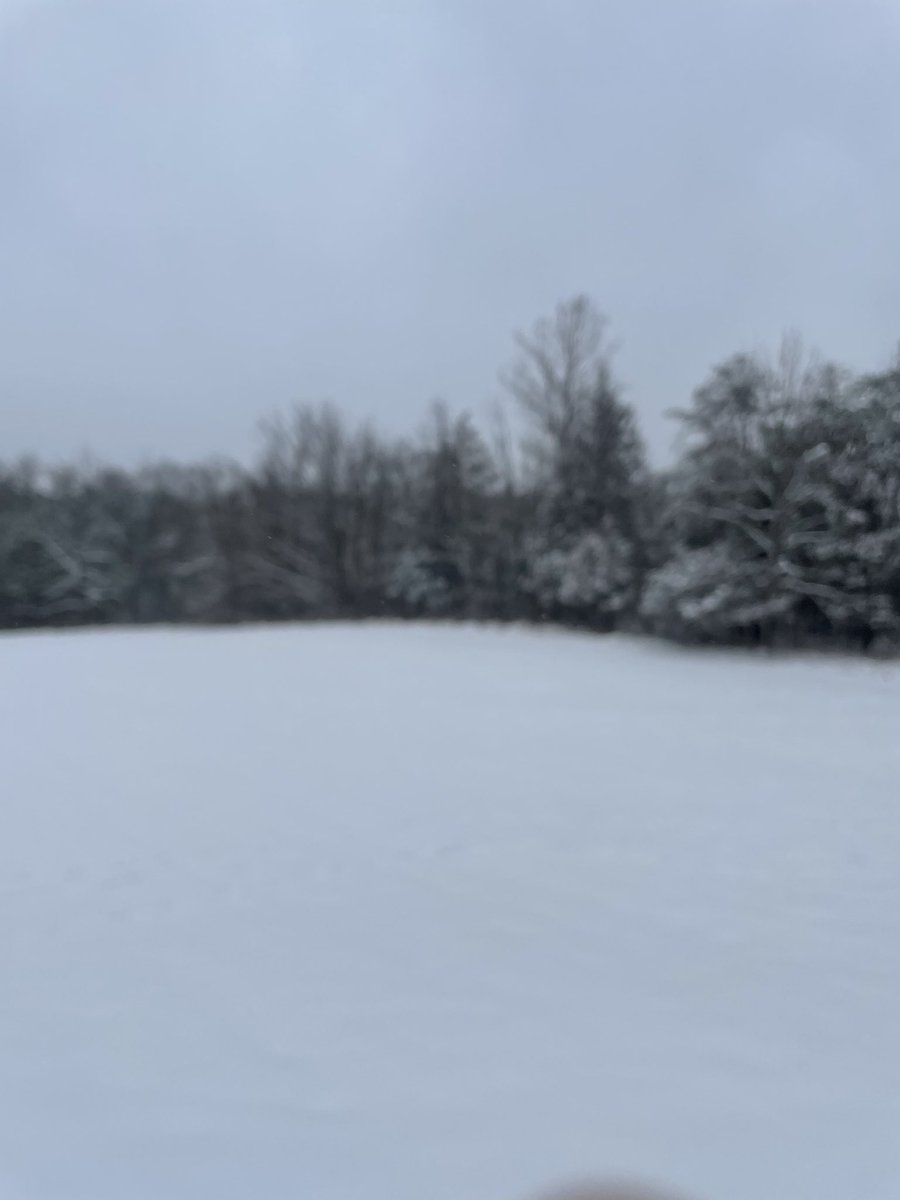 Snowy Dathuria❄️