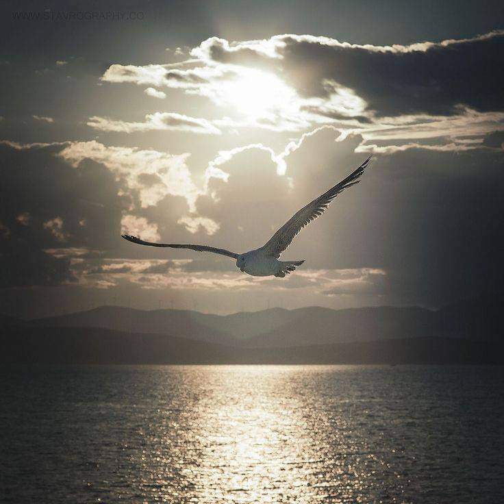 #صورة_ملف_شخصي_جديدة