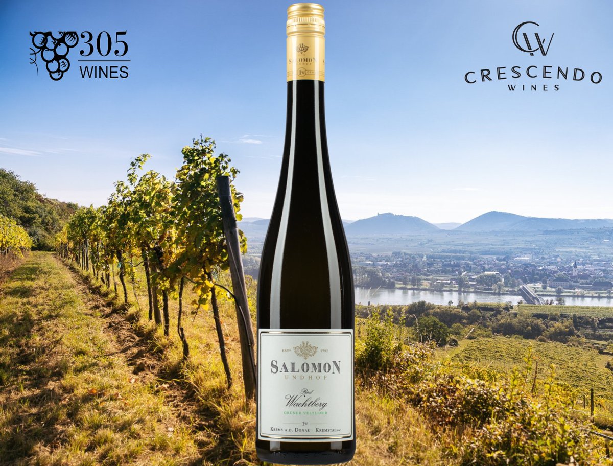 Salomon Undhof Grüner Veltliner “Wachtberg” 2020: a vibrant, textured, spicy white wine, perfectly capturing the essence of the Kremstal region. Pair it with your favorite dishes, from classic Wiener Schnitzel to exotic Asian cuisine. 🛒 Shop now at 305wines.com
