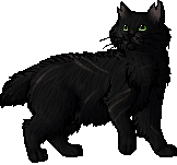 warriorsshipotd's tweet image. 2nd ship otd is petal × fern leaf × star flower!

requested by @lunefalls!

petal is a lesbian demigirl, fern leaf is an ace lesbian nonbinary, and star flower is a transfem lesbian!

tags: #warriorcats #petalwc #fernleaf #starflower