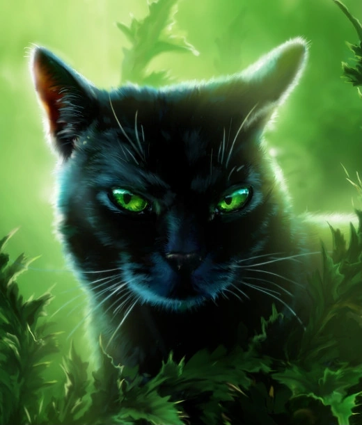 warriorsshipotd's tweet photo. 3rd ship otd is hollyhare! (hollyleaf x harestar)!
requested by @BuzzPrincess1!
harestar is transfem and uses she/her! they are both lesbians!
tags: #warriorcats #hollyleaf #harestar https://t.co/ijmhECVkvK