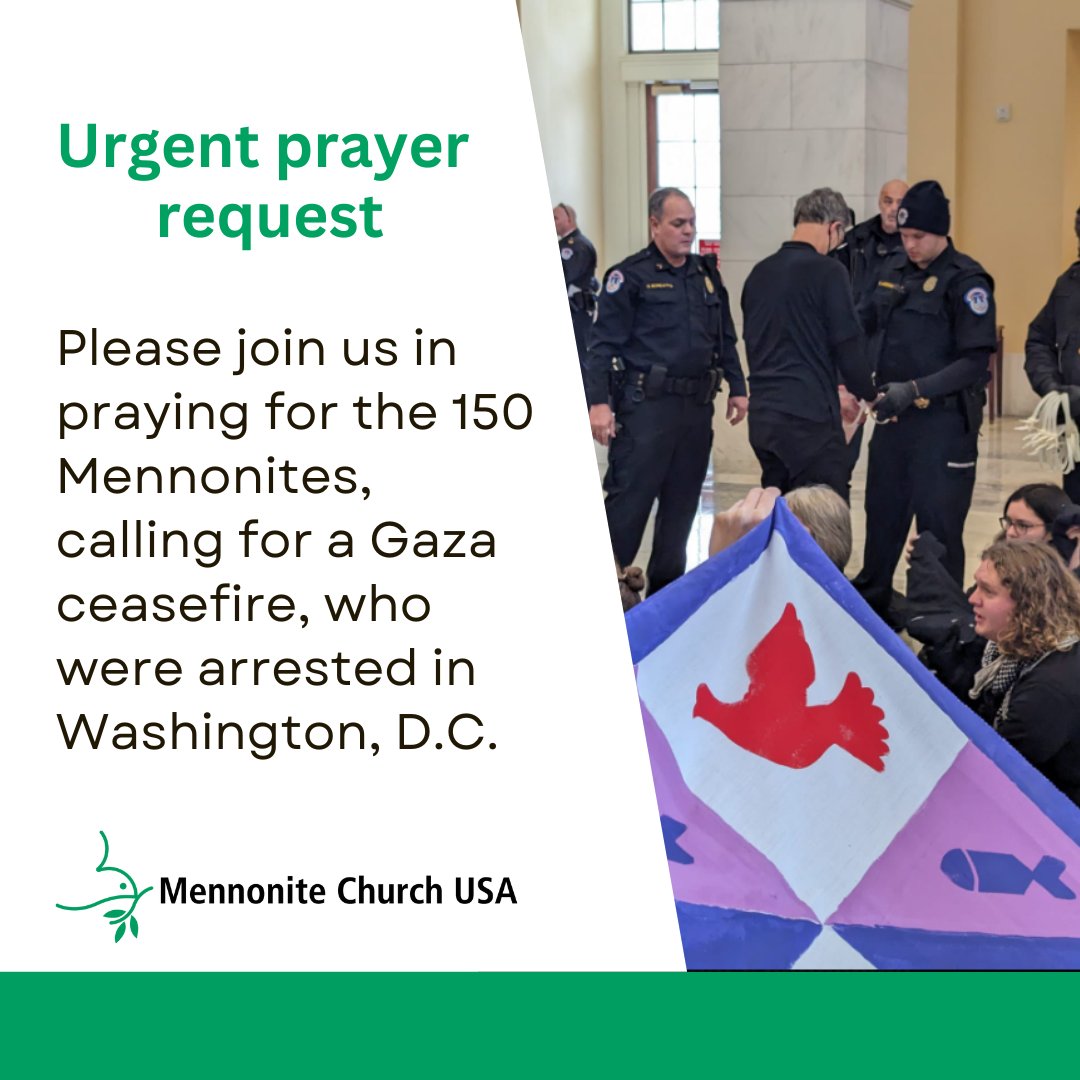 The demonstrators held an unannounced hymn sing today, organized by the grassroots organization Mennonite Action, at the Cannon Rotunda on Capitol Hill, to urge federal officials to call for a permanent ceasefire. Pray for their safe release  – and that their message was heard!