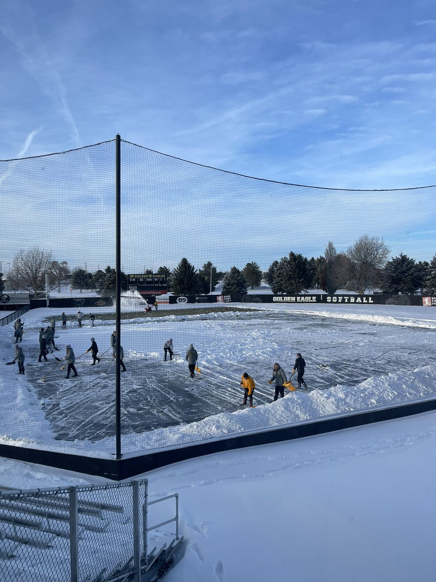 CSI Softball tweet media