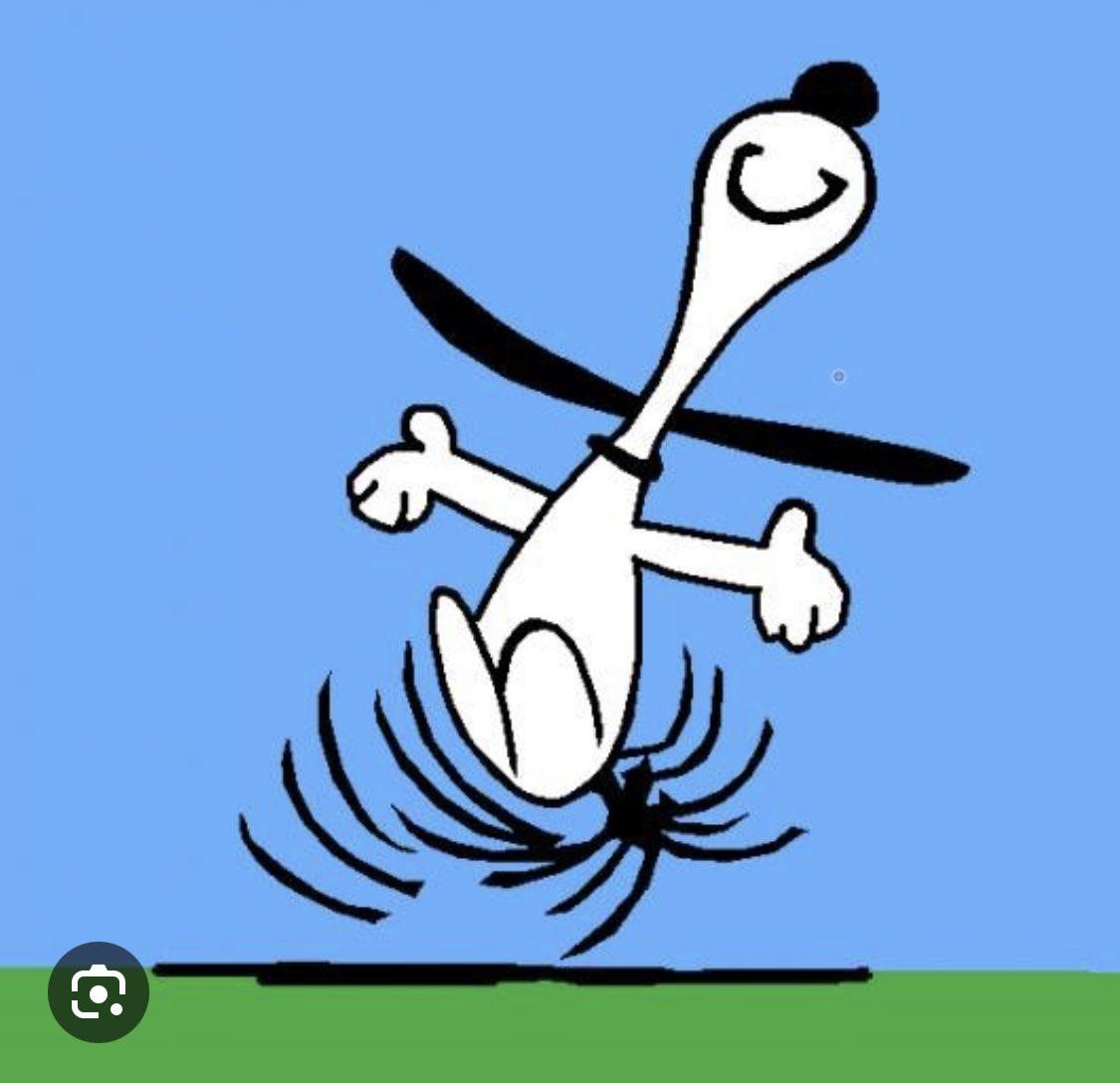 That feeling when your last class is done and you just want to do the Snoopy  dance!, image size:1125x1088