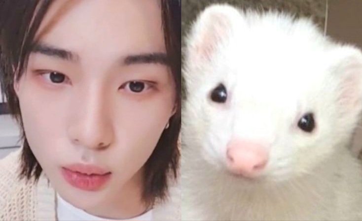 naluestuda's tweet image. s. ' 🫂 #studytwt #studytwtbr #langtwt
 
                     naluestuda.carrd.co
                           ♡/↺ = moots.