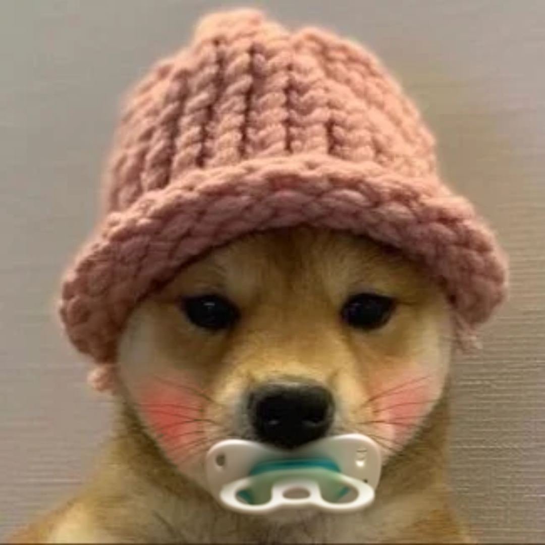 Baby Wif Inu tweet media