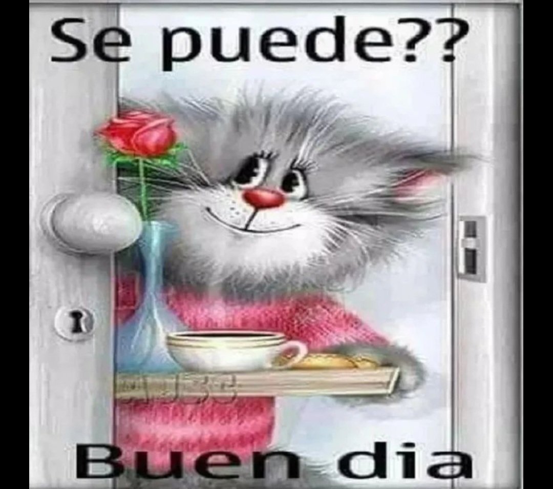 deadlycam's tweet photo. yo reapareciendo en la vida de la gente como si no hubiera pasado nada https://t.co/jkZb4Mgttj