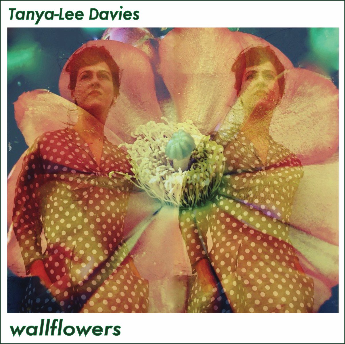 Tanya-Lee Davies tweet media