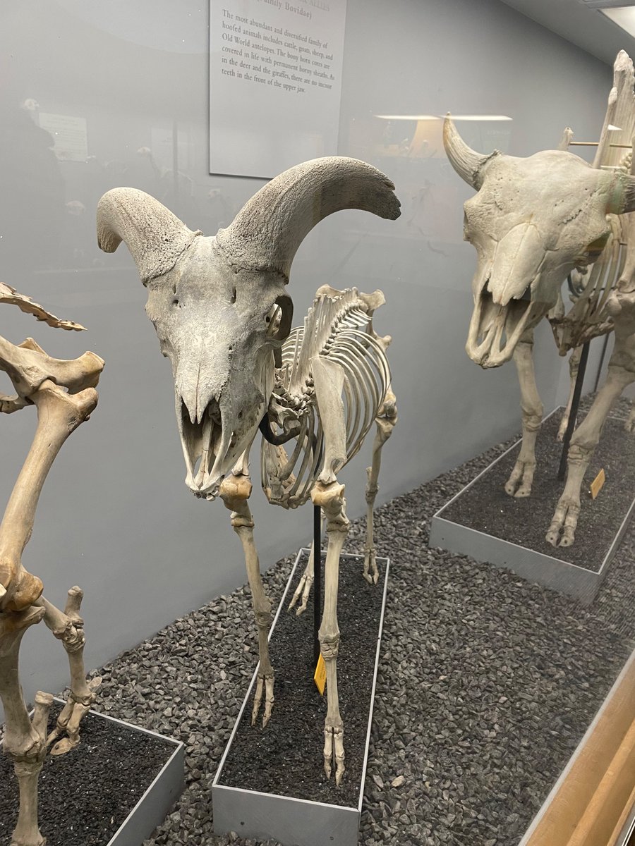 Robin D. Bank tweet media