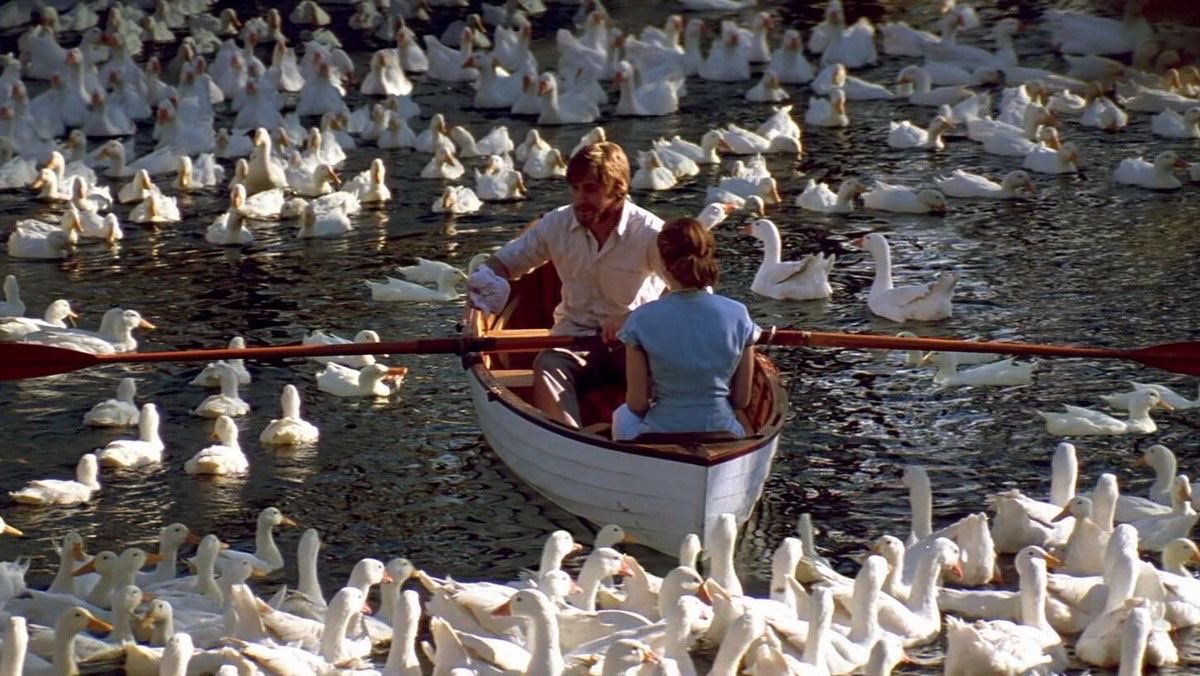 369cinema's tweet image. when it cuts you, when you bleed, that's when you're feeling it the most / that's the way love goes by louis tomlinson

the notebook (2004) dir. nick cassavetes