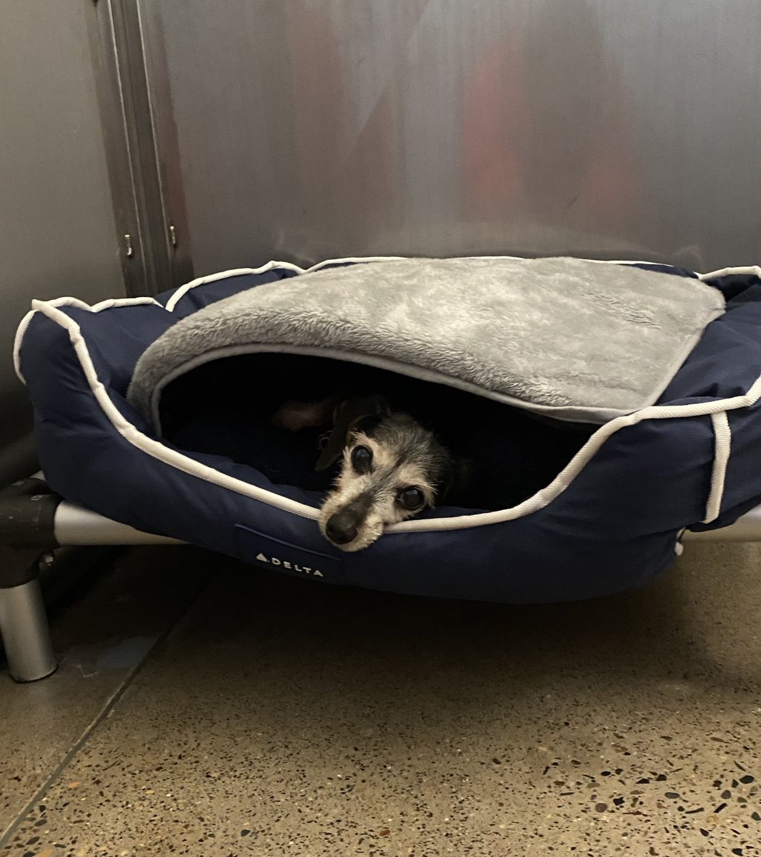 Us on these cold days 🥶