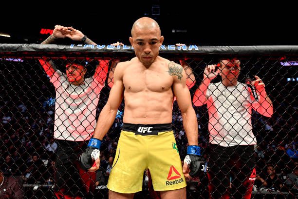MMA__Sim's tweet photo. 5️⃣ more days to #UFC25 🇸🇬 🔥🔥🔥
@FranksBodyWork 🤜🤛 @jj23jenner https://t.co/hzn6hQ2bkB