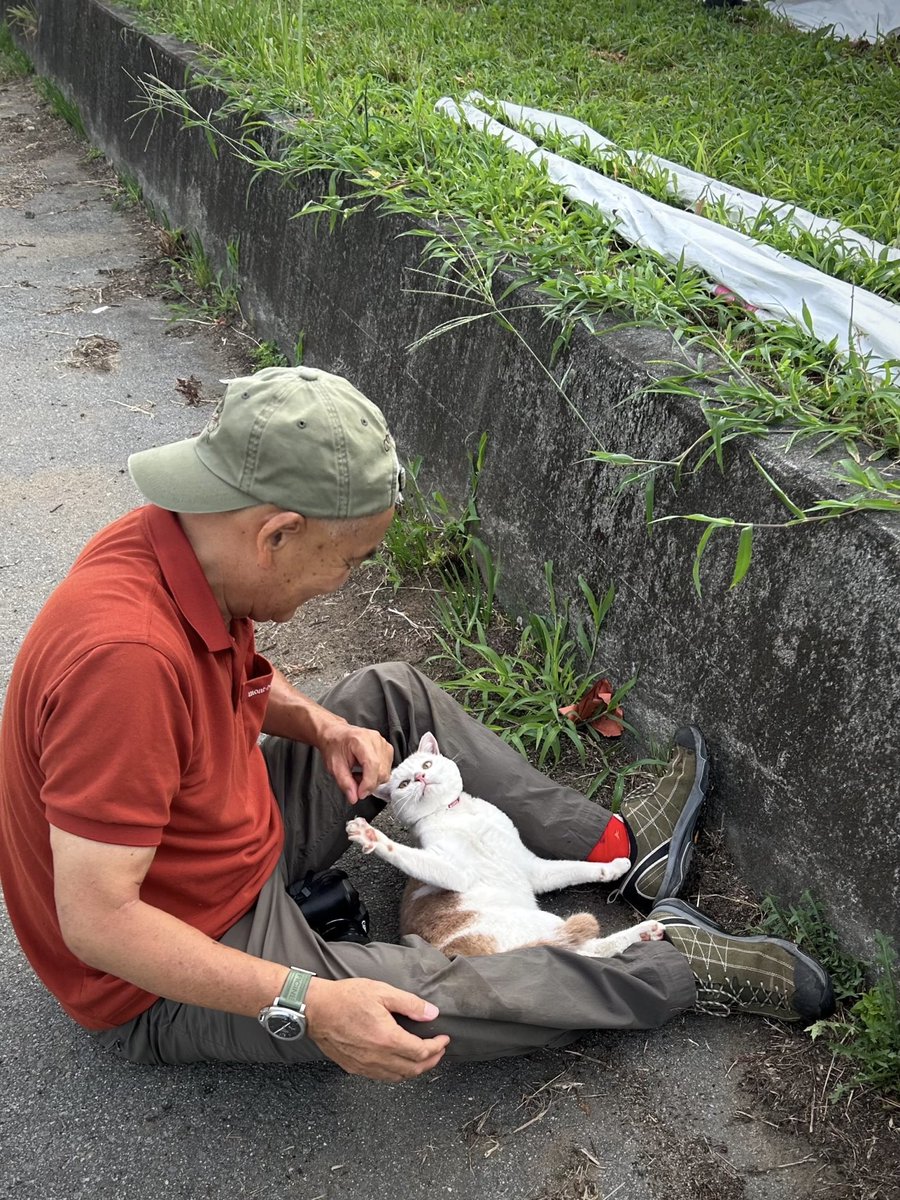 仲良しのボンドが行方不明になっています。Ｘでお願いすることではないのかもしれませんが、藁にもすがる思いです。 首輪はしていません。（首輪を外してしまった直後で。泣） 山梨県 笛吹市一宮町竹原田 一宮町金田 この近辺にいる可能性が高いそうで見かけた方がいましたら、どうかご一報ください。