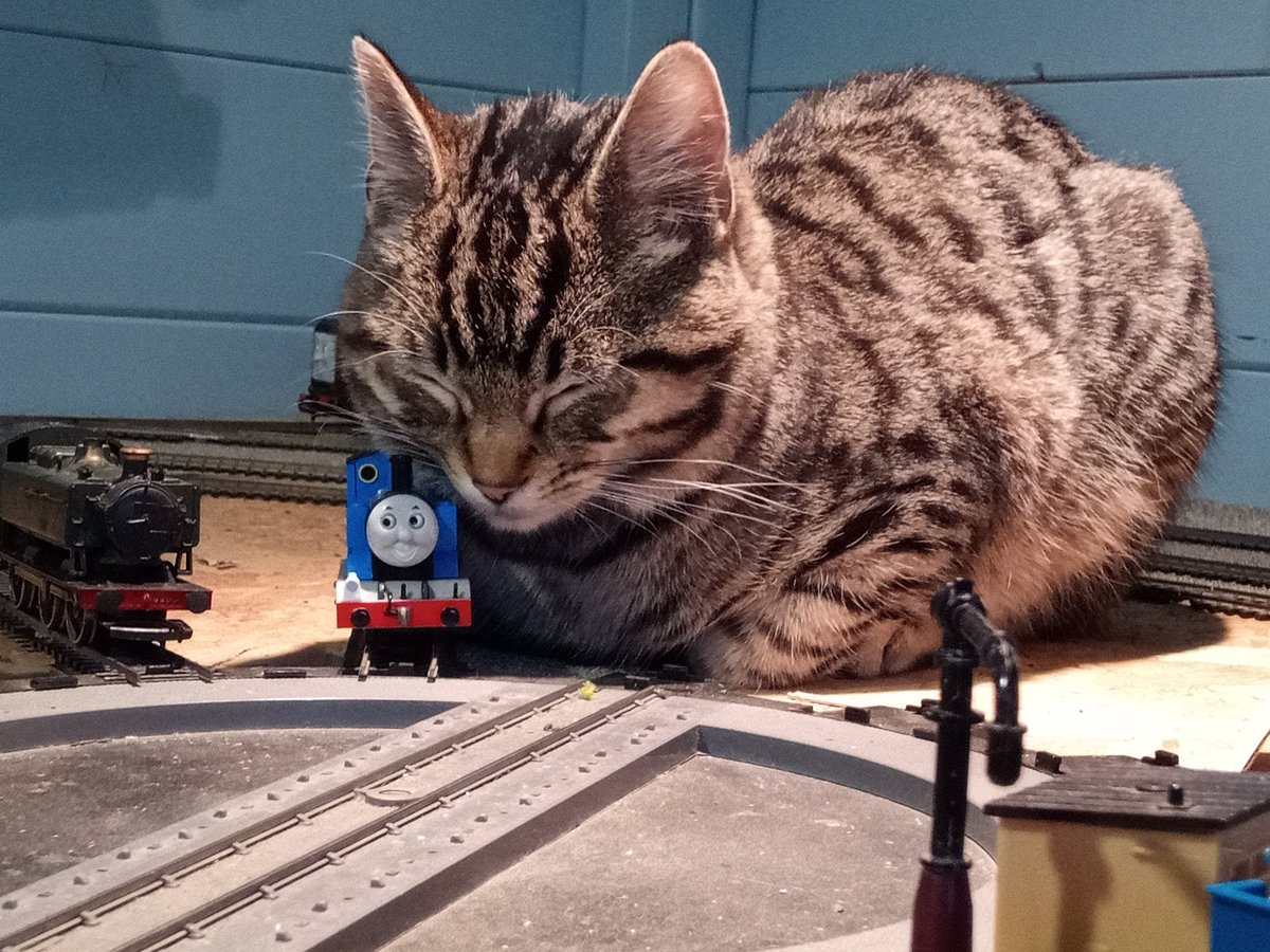 conductor165 tweet media