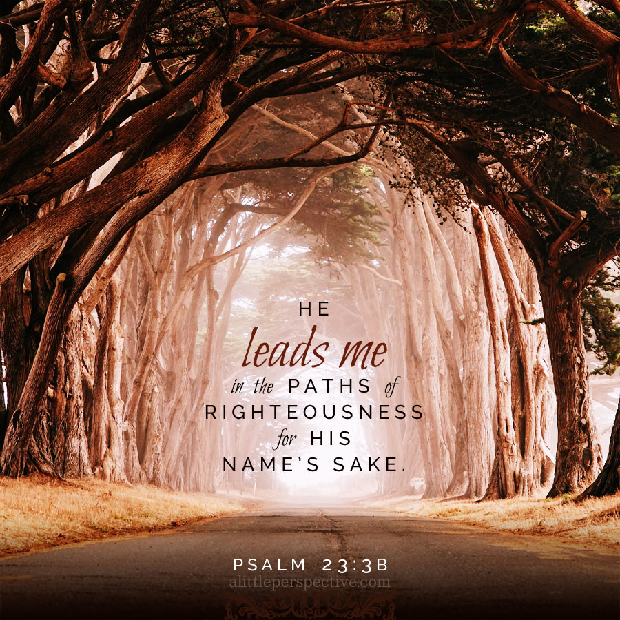 He restores my soul; He leads me in the paths of righteousness For His name’s sake. - Psalm 23:3 (NKJV)