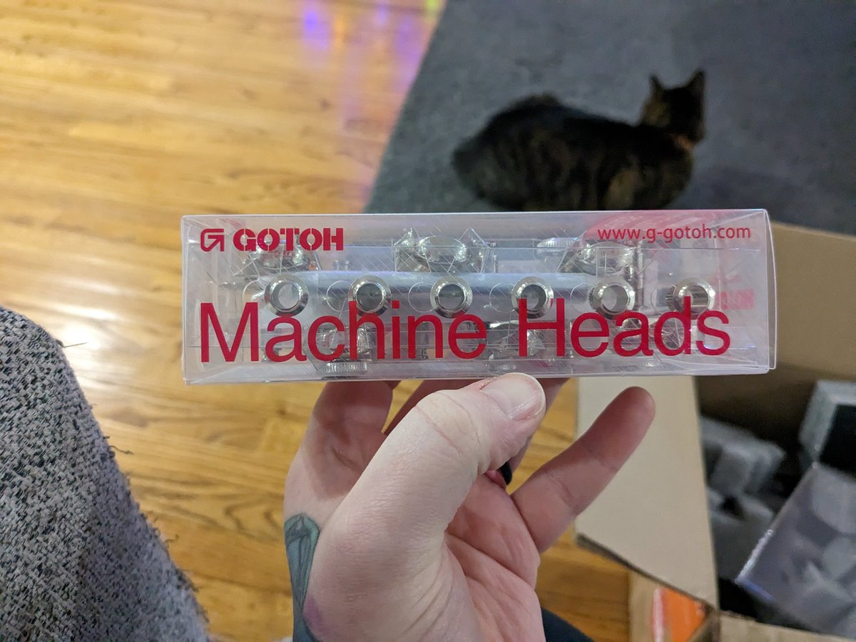 Stargirl 🌠 tweet media