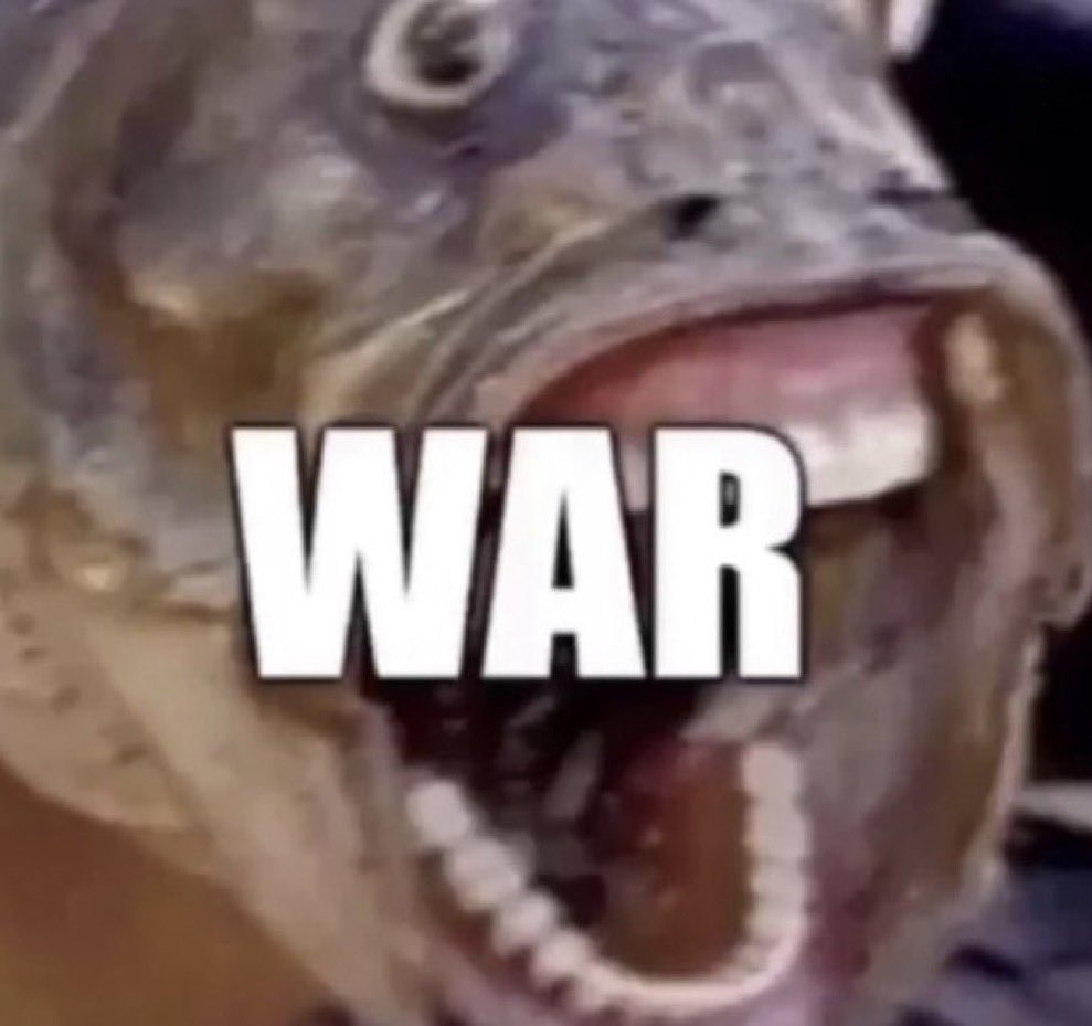 𝔰𝔱𝔢𝔪 𝔠𝔢𝔩𝔩𝔰 (@stemboyband) on Twitter photo 