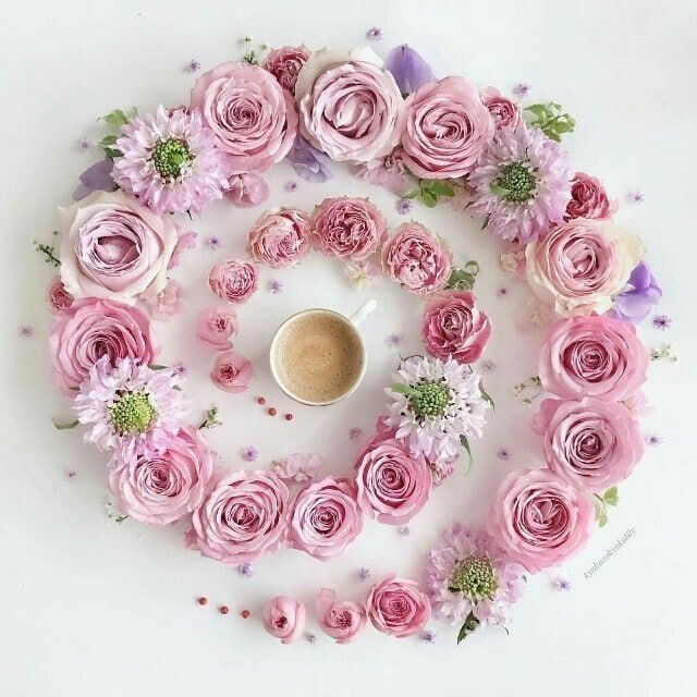 꽃잎이 모여 꽃이 되고
나무가 모여 숲이 되고
미소가 모여 웃음이 되듯이
기쁨이 모여 행복이 된답니다
행복한 하루 되세요.