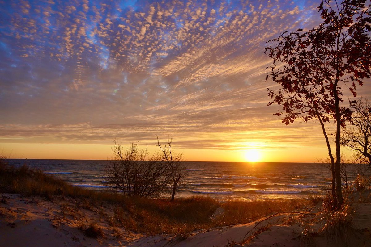 VisitMuskegon's tweet photo. “The world is a canvas to the imagination”
~ Henry David Thoreau
📸 @rkramer62 on Instagram
#Muskegon #MiBeachTowns #PureMichigan #HoffmasterStatePark #MIstateparks #michiganwinter #winterlandscape #winterwalk #travelmichigan #wintertravel #HenryDavidThoreau #travelquotes https://t.co/IBTDVefaOG