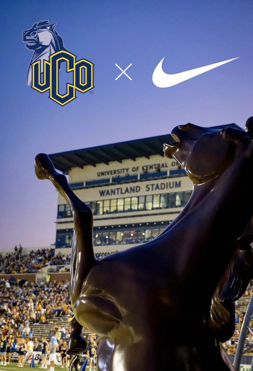 Joe Nelson tweet media