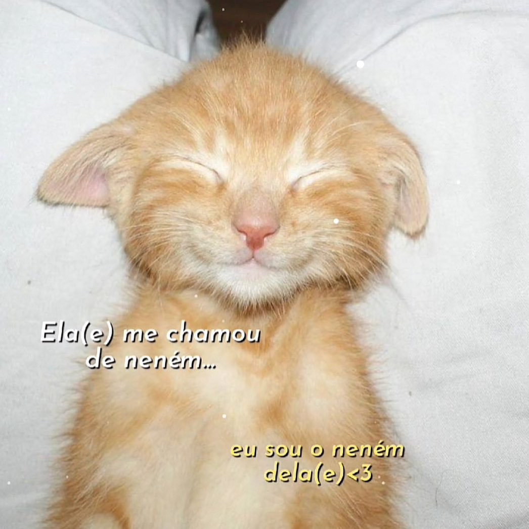 odeiootaco's tweet image. 