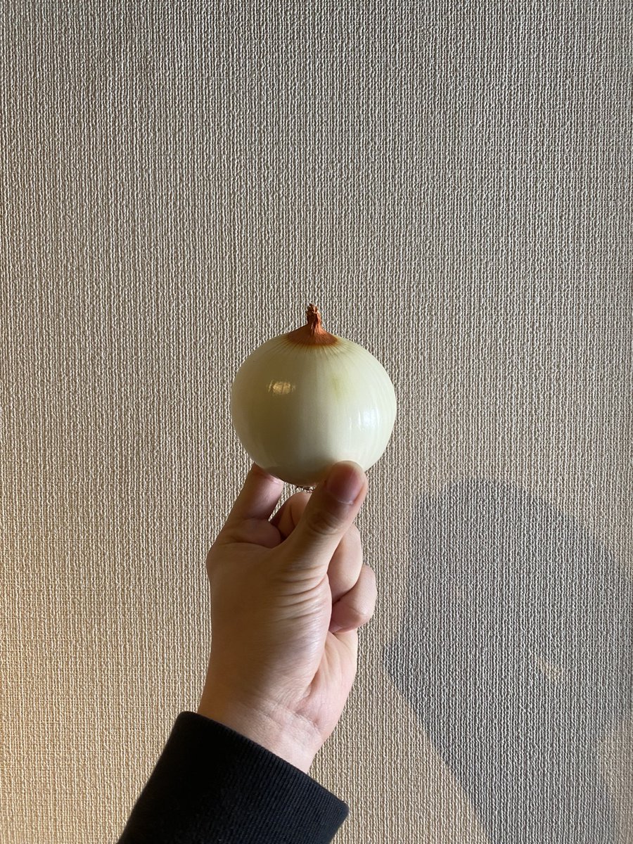 bbisbigboy's tweet photo. たまねぎ https://t.co/3w0ORC6Hec