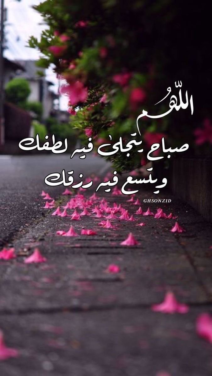 #صباح_الخير