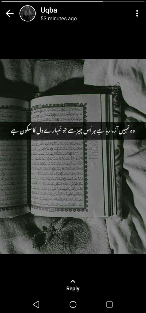 Subha bkhair