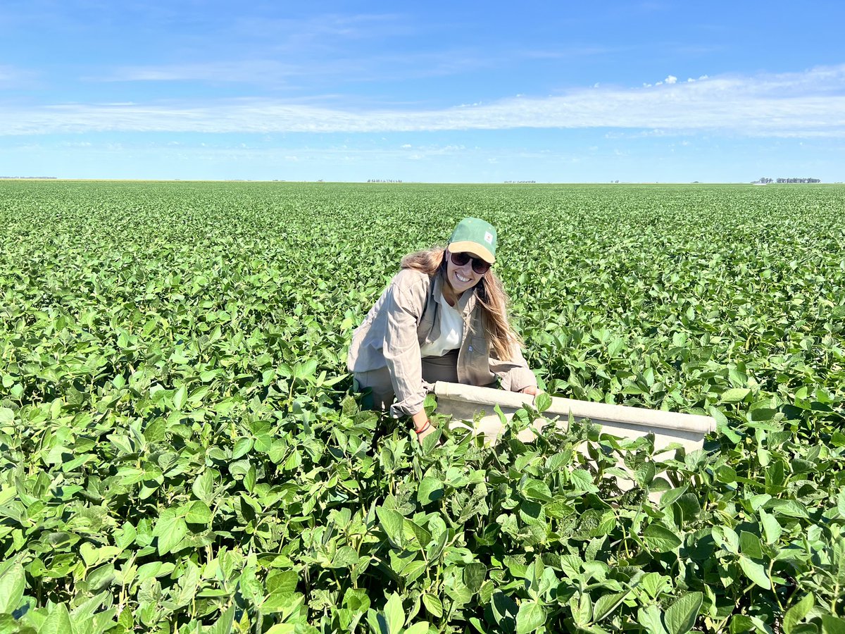 VickyyEsposito's tweet photo. Seguimos con el monitoreo de soja🌱🌞👩🏻‍🌾 #soja #campo #campoargentino #agronomia #LaPampa #Argentina https://t.co/0qJcHShnKm