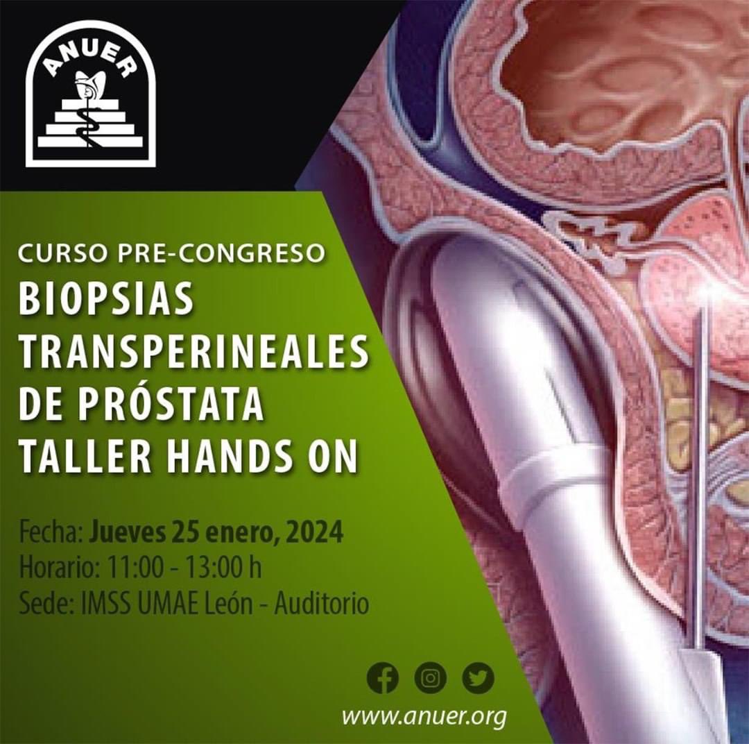 urologorios's tweet photo. Tres biopsias transperineal de próstata en vivo, con participación activa, ultrasonido BK biplanar, un solo punto de acceso a mano libre. https://t.co/SQ7B4bdF4O