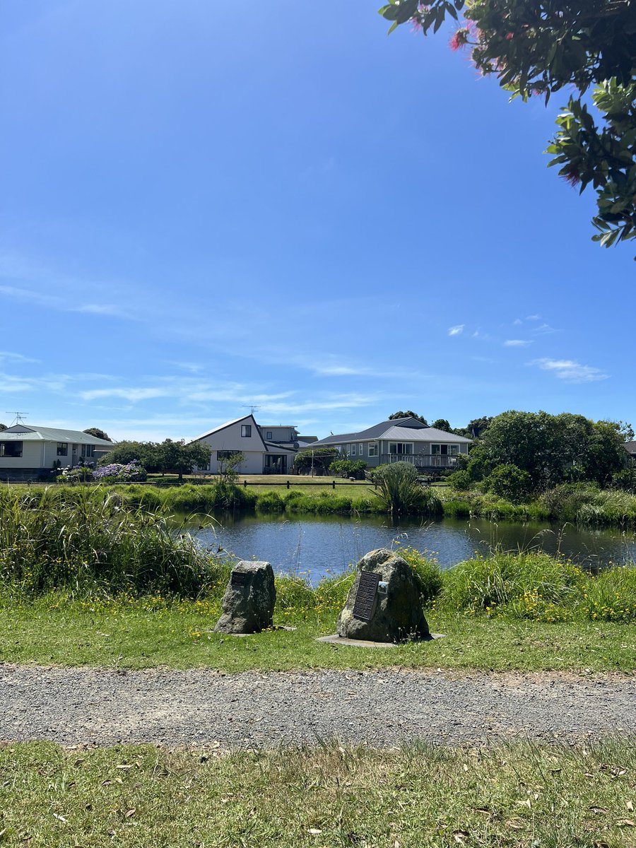 Went on a bit of a goose chase with @andicbuchanan to find the resting place of Thomas, the bisexual polyamorous blind goose, in Waikanae 🪿