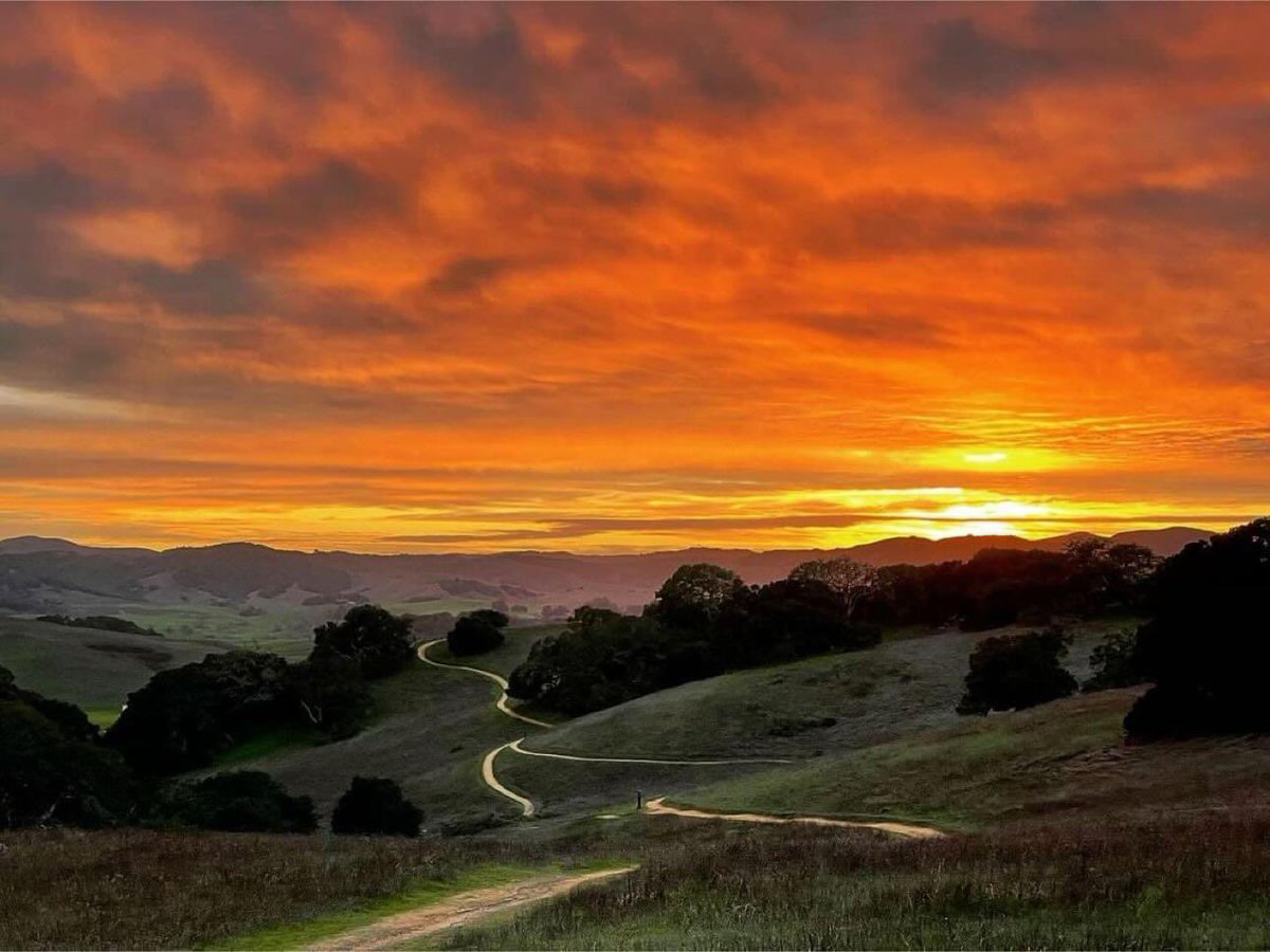 kelandren3's tweet photo. Pictures a friend texted me of where I grew up made me all sorts of homesick… #BayArea #NorCal #SonomaCounty #SonomaCoast https://t.co/JQ1qYomoPE