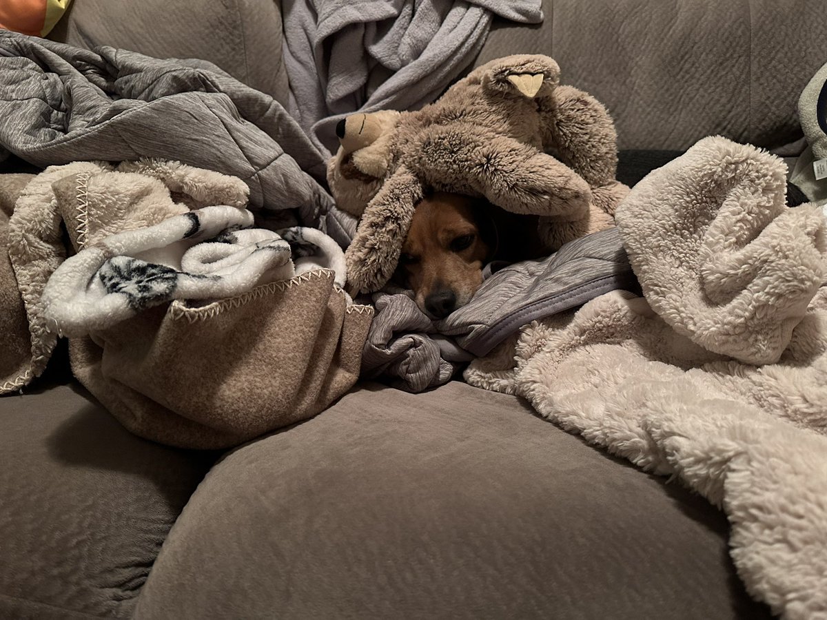 This should warm me up 🥶 the snow walks are fun but my ears are freezing!