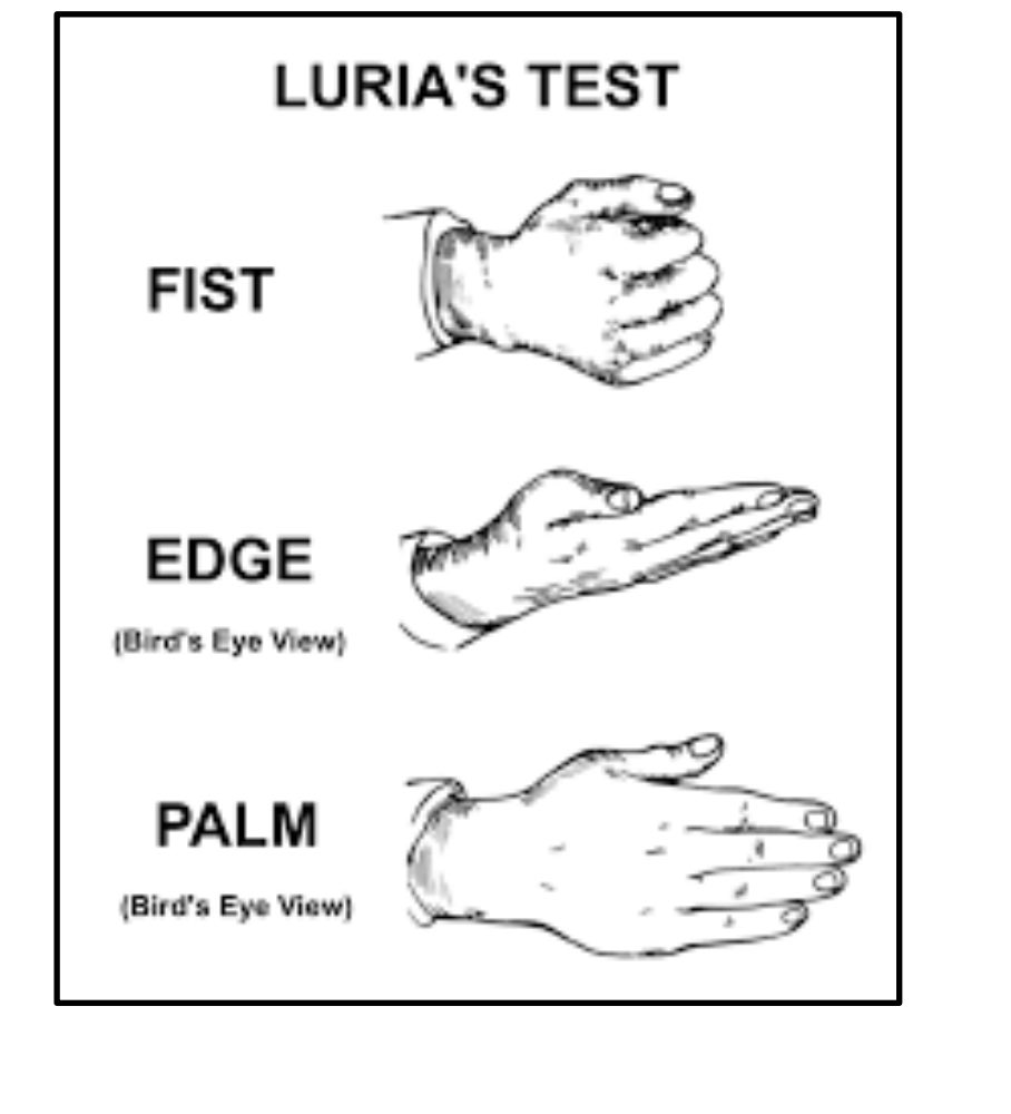 One of the most common tests I use in clinical practice. 

Examination of fronto-striatal circuits. 

In Psychiatry we have clinical examination markers that provide us with diagnostic, treatment and prognostic information for a formulation. 

Here are some of the aspects about