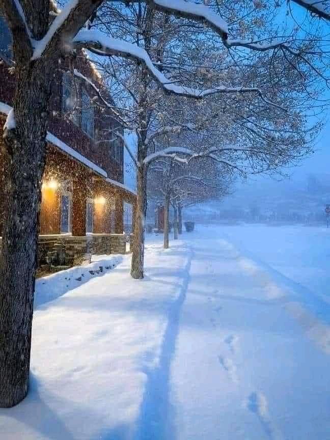 If I could frame our story 
as a snowflake in my heart;
I’d frost it with infinity 
so we would never part. 
   ~ Angie Weiland ~ Crosby 

I send you all peace🕊️

Goodnight ~
Till the morning light✨🌙