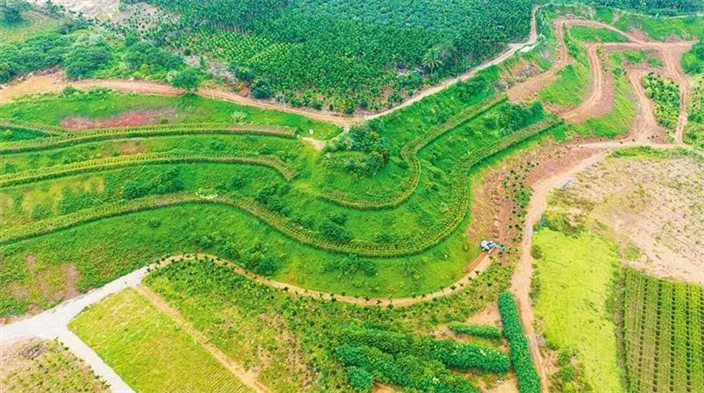 ContactHainan1's tweet photo. Thanks to a balanced system of incentives and penalties that equally prioritize development and #restoration, #Hainan's #mining industry is now witnessing a shift from "grey" to "green" to "gold.” https://t.co/qj4BHEFqJT https://t.co/KtbHiS8iL9