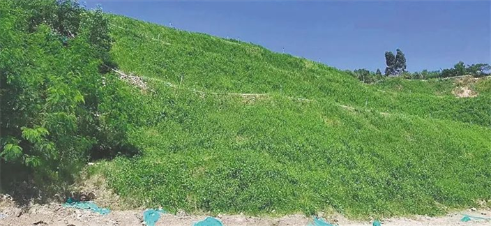 ContactHainan1's tweet photo. Thanks to a balanced system of incentives and penalties that equally prioritize development and #restoration, #Hainan's #mining industry is now witnessing a shift from "grey" to "green" to "gold.” https://t.co/qj4BHEFqJT https://t.co/KtbHiS8iL9