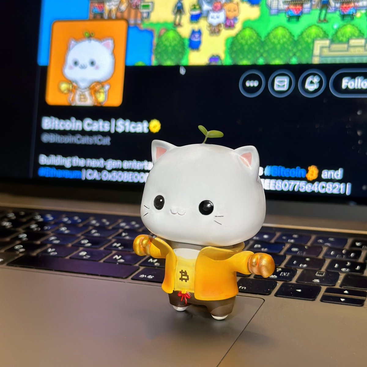 BitcoinCats1Cat's tweet photo. Making #BitcoinCats with #3Dprinting 🐱

RT and comment if you want one 😻 https://t.co/H3kSUTPCRL