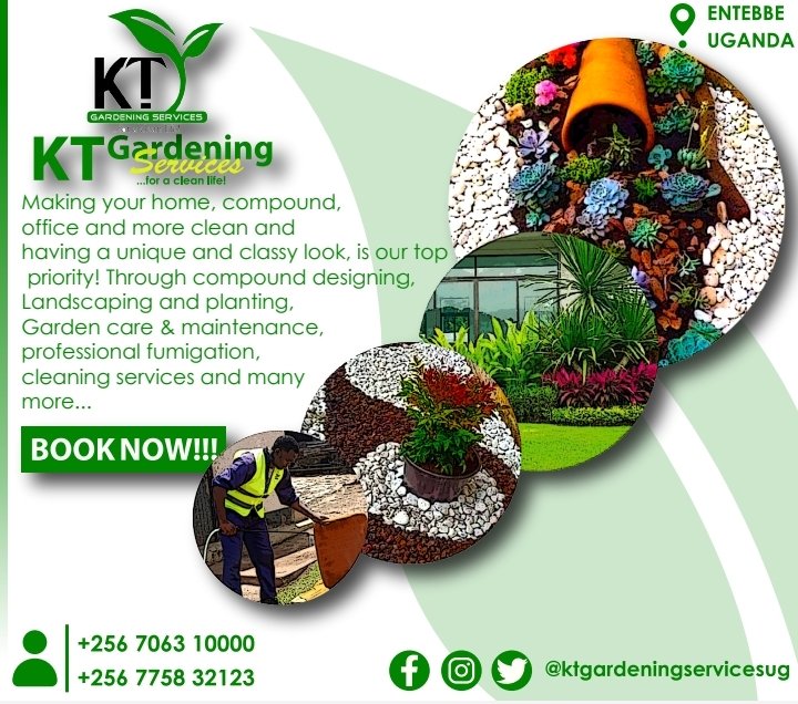 ktgardeningug's tweet photo. #cleaning #fumigation #landscaping #officecleaning #gardencare #compounddesign #stonegardening #ktgardeningug https://t.co/q5OYr7xT4e