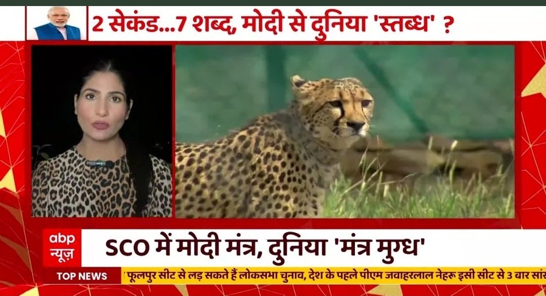Dev_Dikephile's tweet photo. @RubikaLiyaquat ??? https://t.co/pBhmZlbpMu