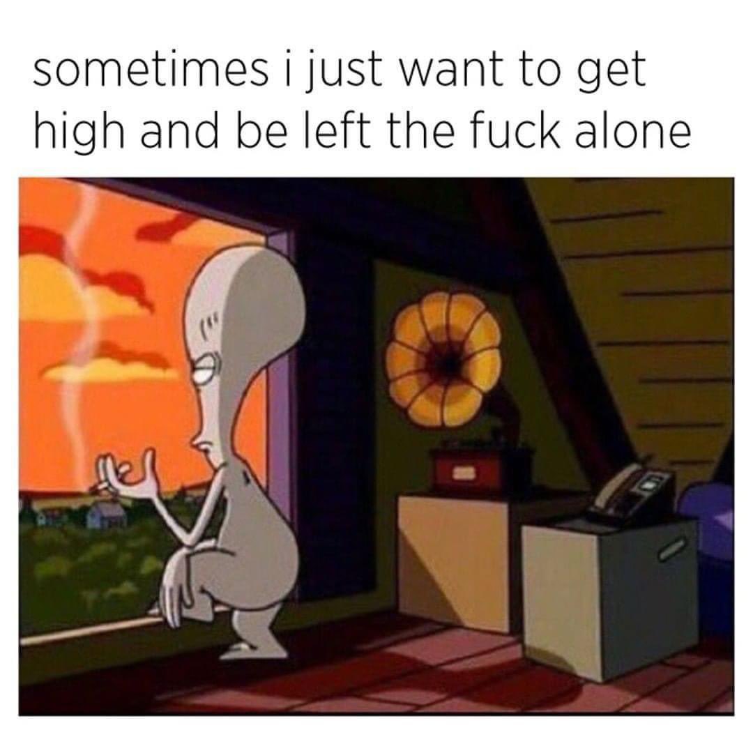 💨🍃 (@highassthinking) on Twitter photo 