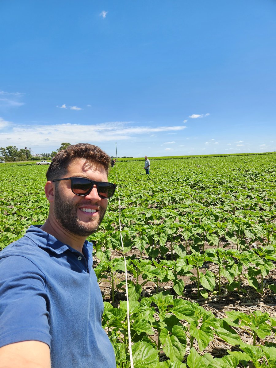 Jonatan Mauro tweet media