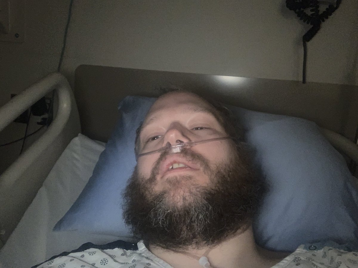 ~Mews~ 🐈 tweet media