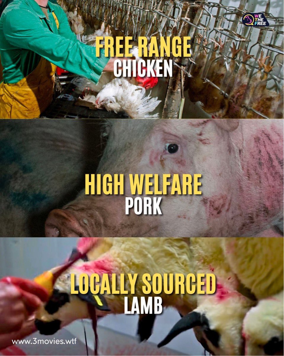• @activism.wtf The victims don’t care about the labels on the packaging…they just don’t want to be murdered.

#freerange #locallysourced #organic #highwelfare #familyfarm #pork #porksandwich #bacon #wings #kebab #biryani #lamb #curry #recipes #veganpost #veganism #vegan