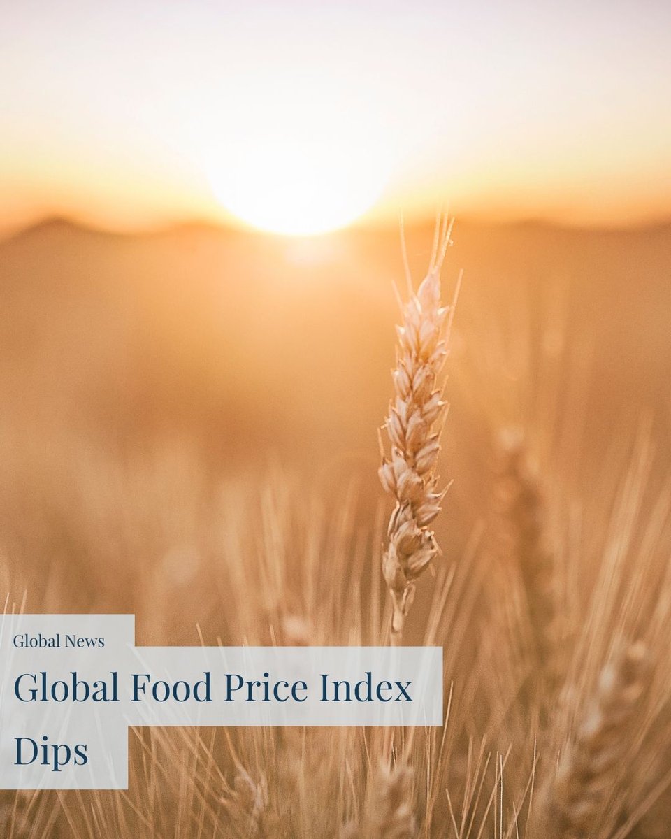 NZSupermarket's tweet image. The FAO Food Price Index, a key indicator of global food commodity prices, marked its sharpest drop.

🔗Link below for details! 🌾

supermarketnews.co.nz/global/global-…

#grain #fao #priceindex #dairy #protein #meat #pork #decline #demand #supply #FMCG #Grocery #Supermarkets #NZSupermarkets