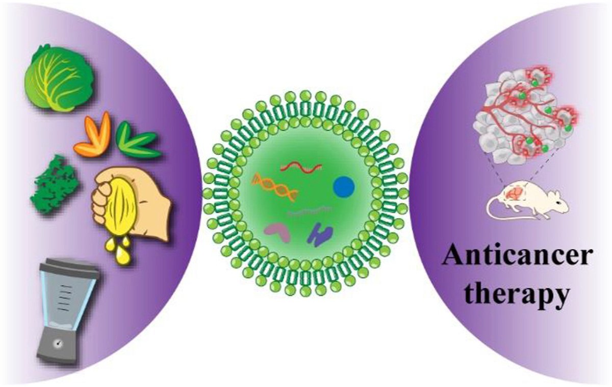 ActaPharmSinB's tweet photo. Review๐#Plant-derived #nanovesicles as an emerging platform for #cancer #therapy. Summarized systematically on #PDNVs, including original sources, isolation methods, composition/structure& applications in anti-tumor study.
From Dr. Shang @WuhanUniversity.
https://t.co/QExchD2cL8 https://t.co/vfbUme4RU5