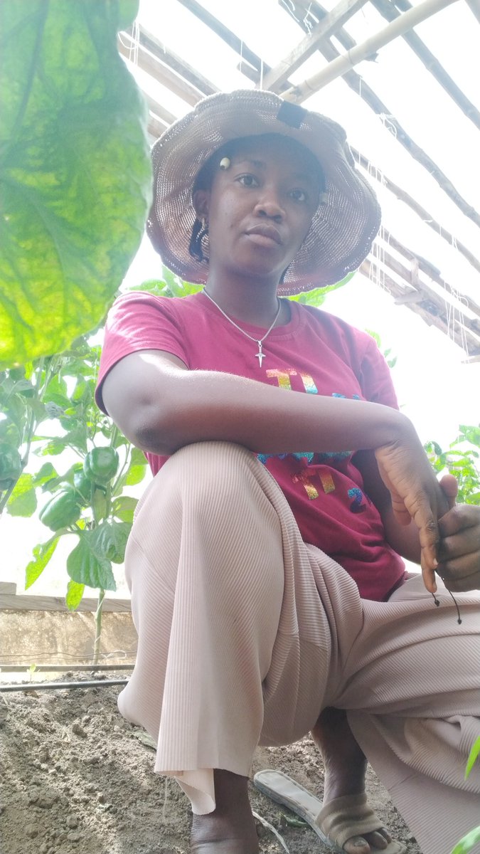 DinmaEzeh's tweet image. If you are a skilled agriculturist seeking for employment opportunities in the sector, you should follow and switch on notification for this account & @farm_cas
Upskill, prepare your CV & be ready to ace your interview & work.
❤️ et💡
#Chi🌍
#farmCAS
#agricturalhumanresource
